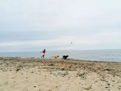 Ferienwohnung für 3 Personen (55 m²) in Rerik (Ostseebad) 10/10