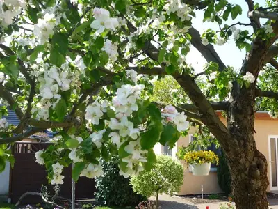 Ferienwohnung für 2 Personen (25 m²) in Rerik (Ostseebad) 3/10