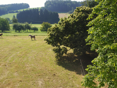 Panoramablick im Som