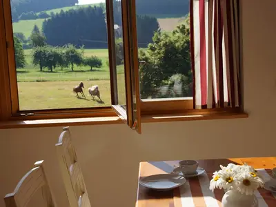 Ferienwohnung Panoramablick Höllbachtal