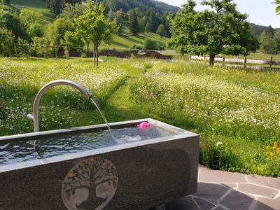 Naturgarten mit Wildblumen-Streuobstwiese