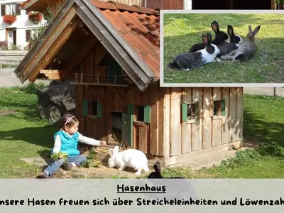 Ferienwohnung für 4 Personen (70 m²) in Rettenberg 9/10