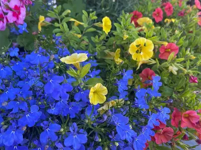 image (3)