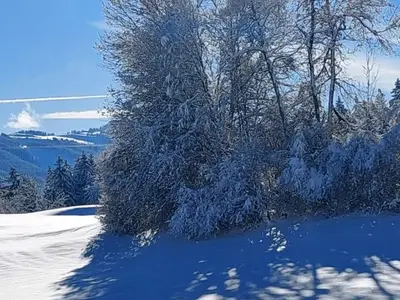 Winterlandschaft