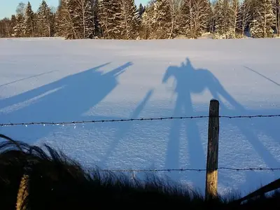 20170106_155834