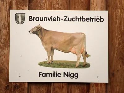 LANDWIRTSCHAFT LIVE