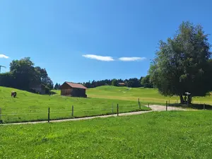Ferienwohnung für 2 Personen (55 m²) in Rettenberg