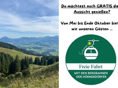 Ferienwohnung für 4 Personen (70 m²) in Rettenberg 3/10