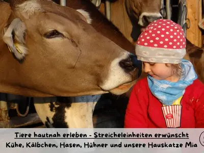 Ferienwohnung für 4 Personen (70 m²) in Rettenberg 4/10