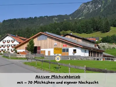 Ferienwohnung für 4 Personen (70 m²) in Rettenberg 6/10