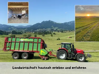 Ferienwohnung für 4 Personen (70 m²) in Rettenberg 9/10