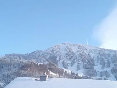 Ferienwohnung für 3 Personen (51 m²) in Rettenberg 3/10