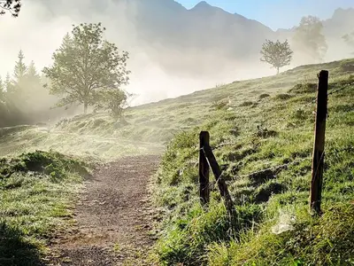 Ferienwohnung für 3 Personen (51 m²) in Rettenberg 10/10