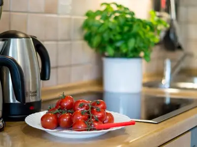 Ferienwohnung für 5 Personen (48 m²) in Neustadt In Holstein 10/10