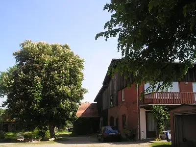 Ferienwohnung für 4 Personen (55 m²) in Neustadt In Holstein 8/10