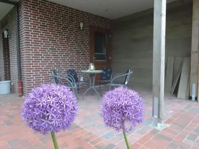 Ferienwohnung für 2 Personen (45 m²) in Rhauderfehn 3/10