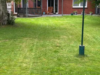Ferienwohnung für 5 Personen (75 m²) in Rhauderfehn 3/10