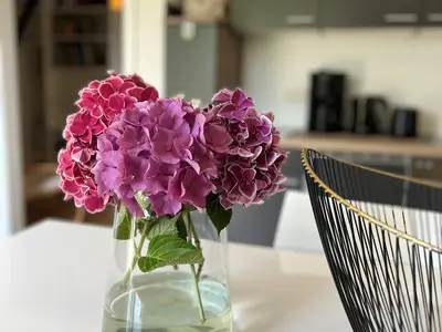 In der Ferienwohnung "Wohnen an der Basilika" wird auf liebevolle Dekoration geachtet