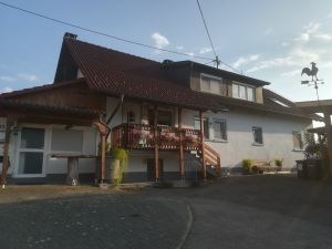 Ferienwohnung für 4 Personen (60 m²) ab 89 € in Rheinfelden