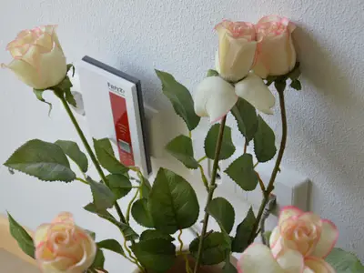 Ferienwohnung für 6 Personen (55 m²) in Rheinhausen 9/10