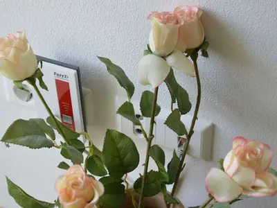 Ferienwohnung für 6 Personen (55 m²) in Rheinhausen 4/10