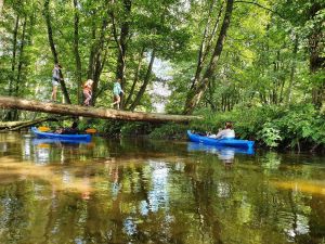 23053141-Ferienwohnung-2-Rheinsberg-300x225-4