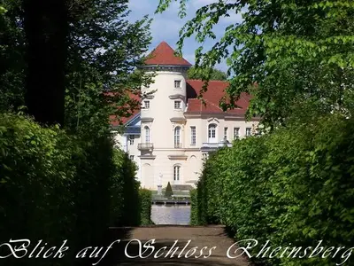 Ferienwohnung für 3 Personen (50 m²) in Rheinsberg 7/10