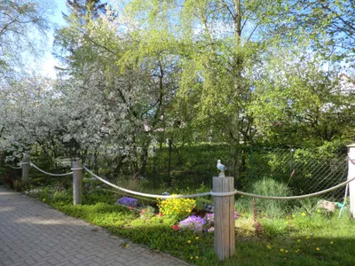 Ferienwohnung für 4 Personen (74 m²) in Ribnitz-Damgarten 2/10