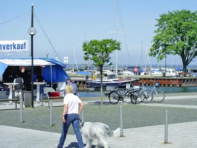 AreaSummer20KM