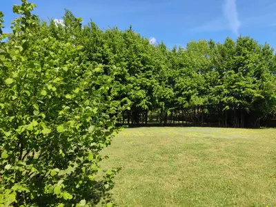 Ferienwohnung für 8 Personen (107 m²) in Ribnitz-Damgarten 8/10