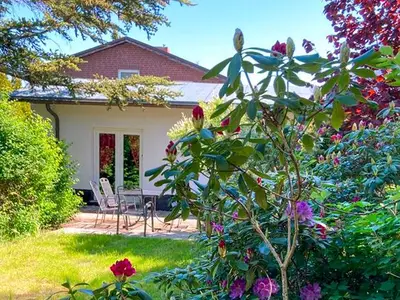 Ferienwohnung für 5 Personen (50 m²) in Ribnitz-Damgarten 2/10