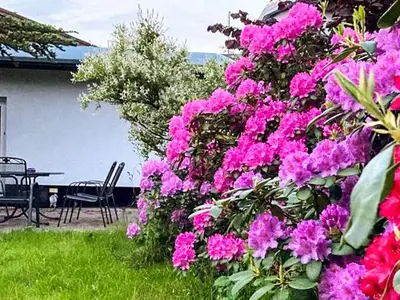 Ferienwohnung für 5 Personen (50 m²) in Ribnitz-Damgarten 3/10