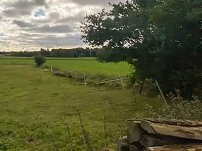 Ferienwohnung für 5 Personen (50 m²) in Ribnitz-Damgarten 7/10