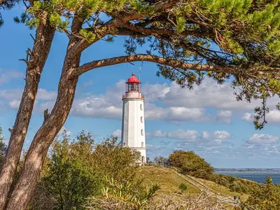 Ferienwohnung für 5 Personen (50 m²) in Ribnitz-Damgarten 8/10