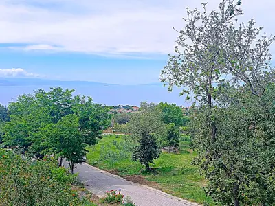 view-from-room
