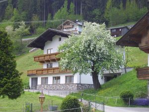 24016987-Ferienwohnung-4-Ried im Zillertal-300x225-2