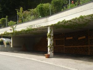 24034943-Ferienwohnung-8-Ried im Zillertal-300x225-3