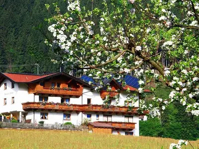 Haus im Frühling