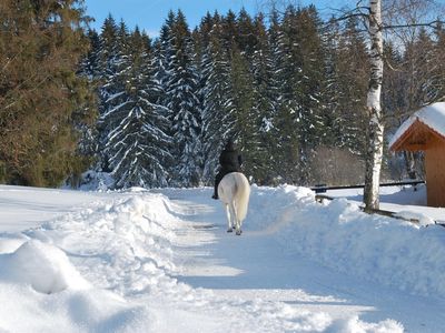 Ausritt am Pferdehof