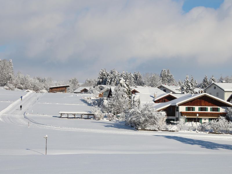 23557279-Ferienwohnung-2-Rieden am Forggensee-800x600-0