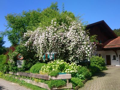 Haus Allgäu