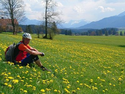 Frühlingslandschaft