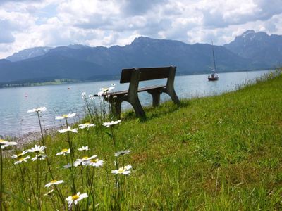 Glückliche Stunden am Forggensee - ungestört und unvergleichlich