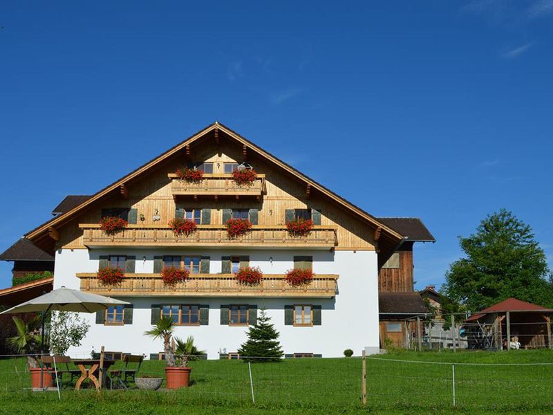 22694893-Ferienwohnung-2-Rieden am Forggensee-800x600-1