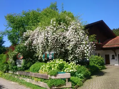 Ferienwohnung für 2 Personen (40 m²) in Rieden am Forggensee 2/10