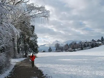 Ferienwohnung für 2 Personen (44 m²) in Rieden am Forggensee 10/10