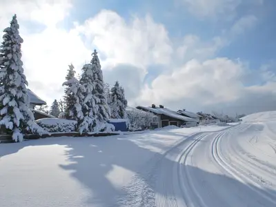 Langlaufloipe 150m vom Haus entfernt