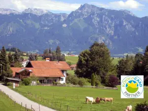 Ferienwohnung für 2 Personen (50 m²) in Rieden am Forggensee
