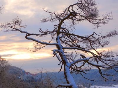 Wanderweg nach Burg Prunn