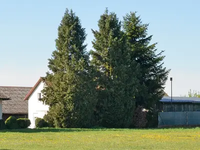 Gegenüberliegender Bolzplatz